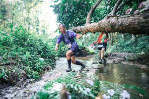 BIB: 
                            <button type="button" onclick="openModal(25446344)" class="btn btn-primary btn-sm float-right btn-popup" data-toggle="modal" data-target=".modal-high-quality">
                        <i class="fas fa-shopping-cart"></i> Add to Cart
                    </button>
                                            <button type="button" onclick="isThisMe(25446344, true)" class="btn btn-success btn-sm float-right btn-popup btn-isme hidden" data-toggle="tooltip" data-placement="bottom" title="นี่คือรูปของคุณใช่ไหม คลิกที่นี่เพื่อเอาเข้าอัลบั้ม">
                        <i class="fas fa-plus"></i> Add to album
                    </button>
                    <button type="button" onclick="isThisMe(25446344, false)" class="btn btn-warning btn-sm float-right btn-popup btn-isnotme hidden">
                        <i class="fas fa-ban"></i> Remove from album
                    </button>